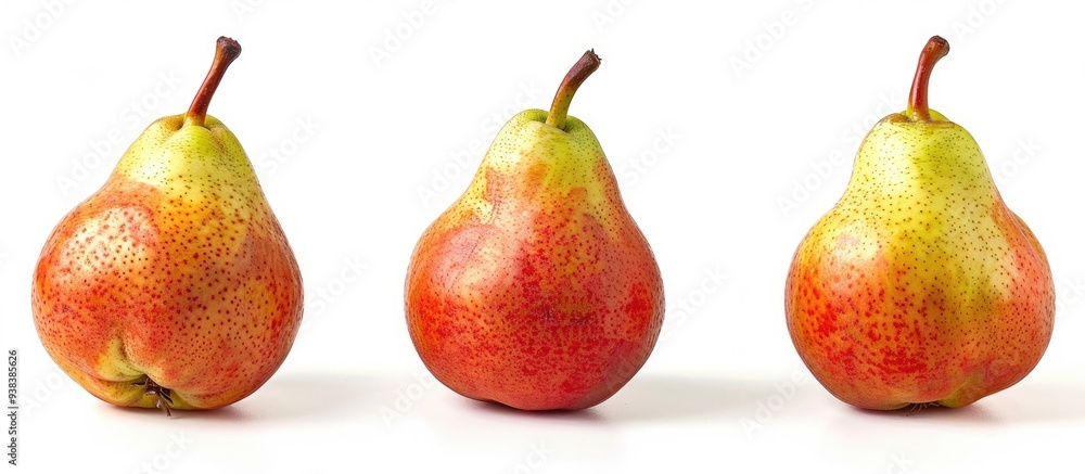 Three Ripe Pear Isolated On White Background Three Ripe Pear Isolated On White Background