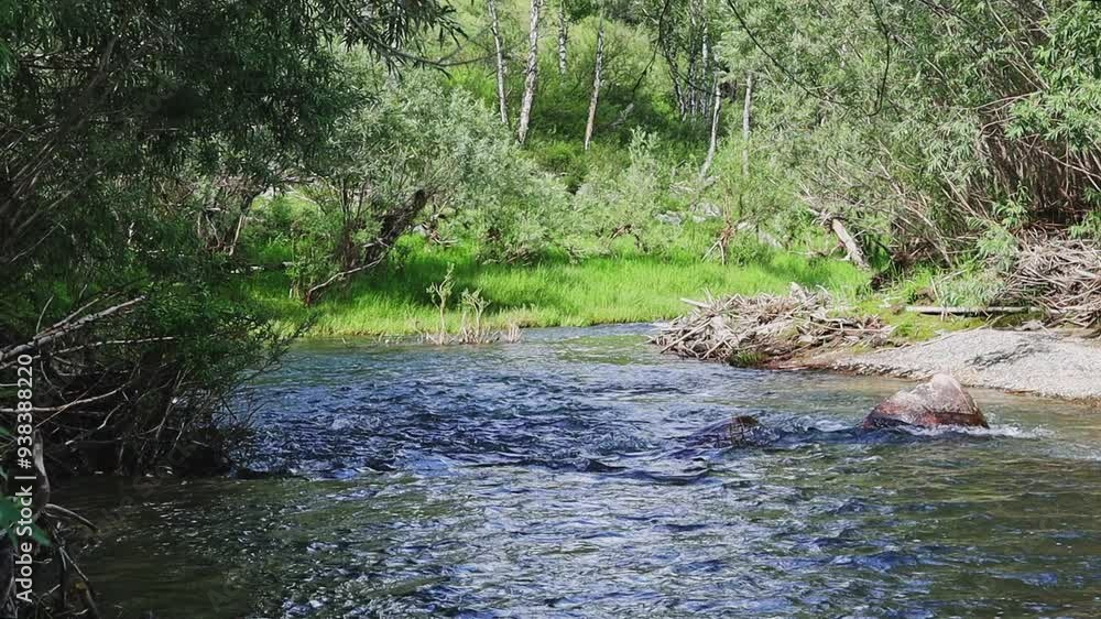 A beautiful mountain river flows through a green forest. A beautiful mountain river flows through a green forest.