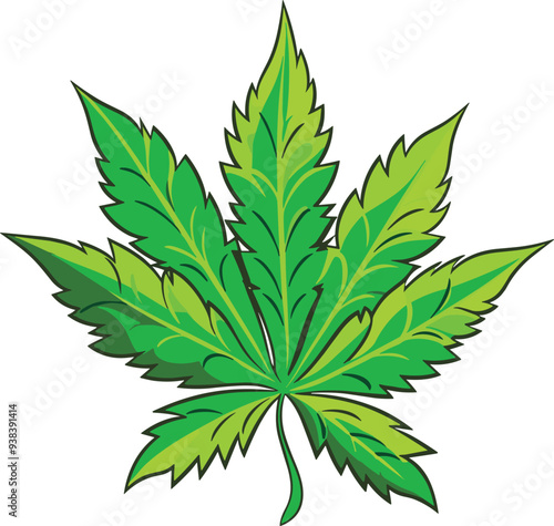 leaf cannabis marijuana plant green hemp isolated nature medicine