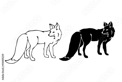 Set of linear sketches, silhouettes of a predatory forest animal fox. Vector graphics.