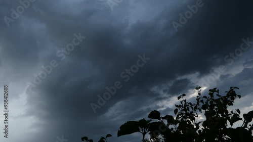 A stormy sky with very dark gray clouds. silhouette of vegetation in the foreground.