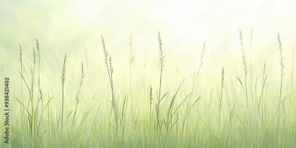 The soft undulation of a meadow brimming with wild grasses inspires a sense of peace and liberation in the heart. The soft undulation of a meadow brimming with wild grasses inspires a sense of peace and liberation in the heart.
