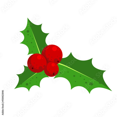 Holly berry - vector illustration