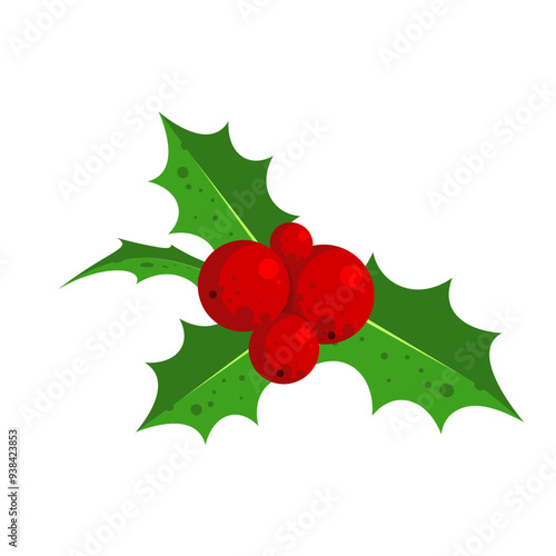 Holly berry - vector illustration