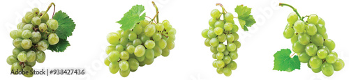 Fresh green grapes hanging on the vine in bright sunlight on Transparent Background.