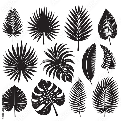 set of leaves silhouettes