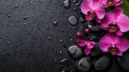 Fototapete Spa Orchid Flowers on Black Stones With Water Drops  © jongaNU