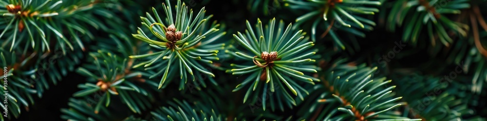 Close-up of vibrant green pine needles Close-up of vibrant green pine needles