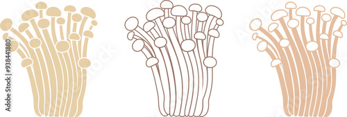 Japanese Enoki. Isolated Japanese Enoki on white background