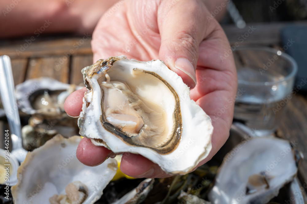Naklejka premium Eating of fresh live oysters with citron and white wine at farm cafe in oyster-farming village, Arcachon bay, Gujan-Mestras port, Bordeaux, France in sunny day