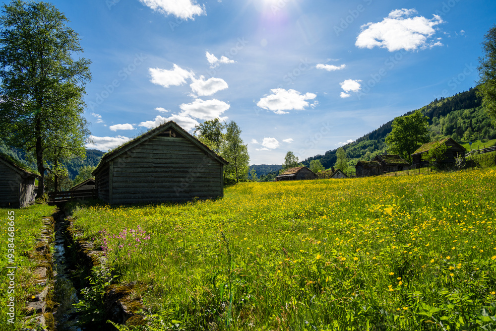 Old farm iand the meadows Old farm iand the meadows