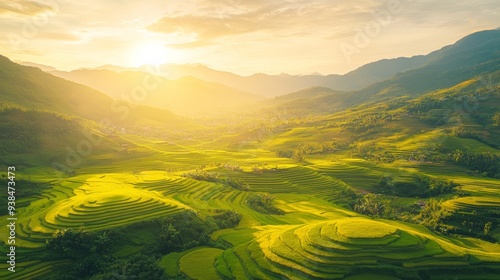 The lush green terraced rice fields on rolling hills are bathed in sunlight.