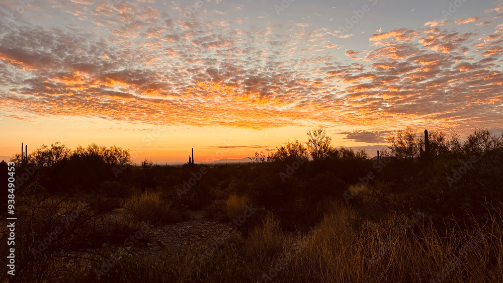 Arizona sunset scattered colorful clouds saguaro cactus and trees Arizona sunset scattered colorful clouds saguaro cactus and trees