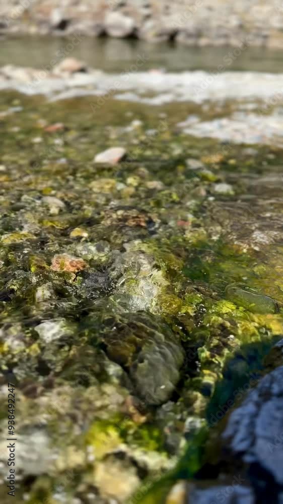 Small hot spring tributary steams and trickles. It is riddled with green algae and colorful rocks. Includes the spa like sound of water trickling. Small hot spring tributary steams and trickles. It is riddled with green algae and colorful rocks. Includes the spa like sound of water trickling.