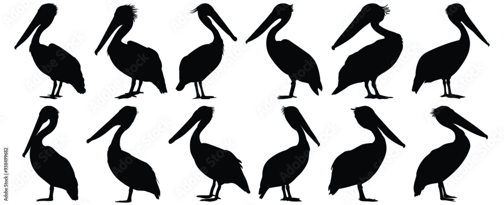 Pelican silhouette set vector design big pack of bird illustration and icon Pelican silhouette set vector design big pack of bird illustration and icon