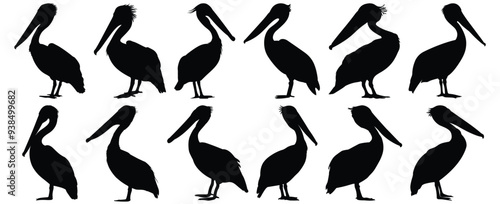 Pelican silhouette set vector design big pack of bird illustration and icon