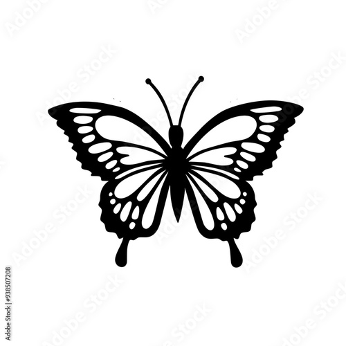 butterfly 