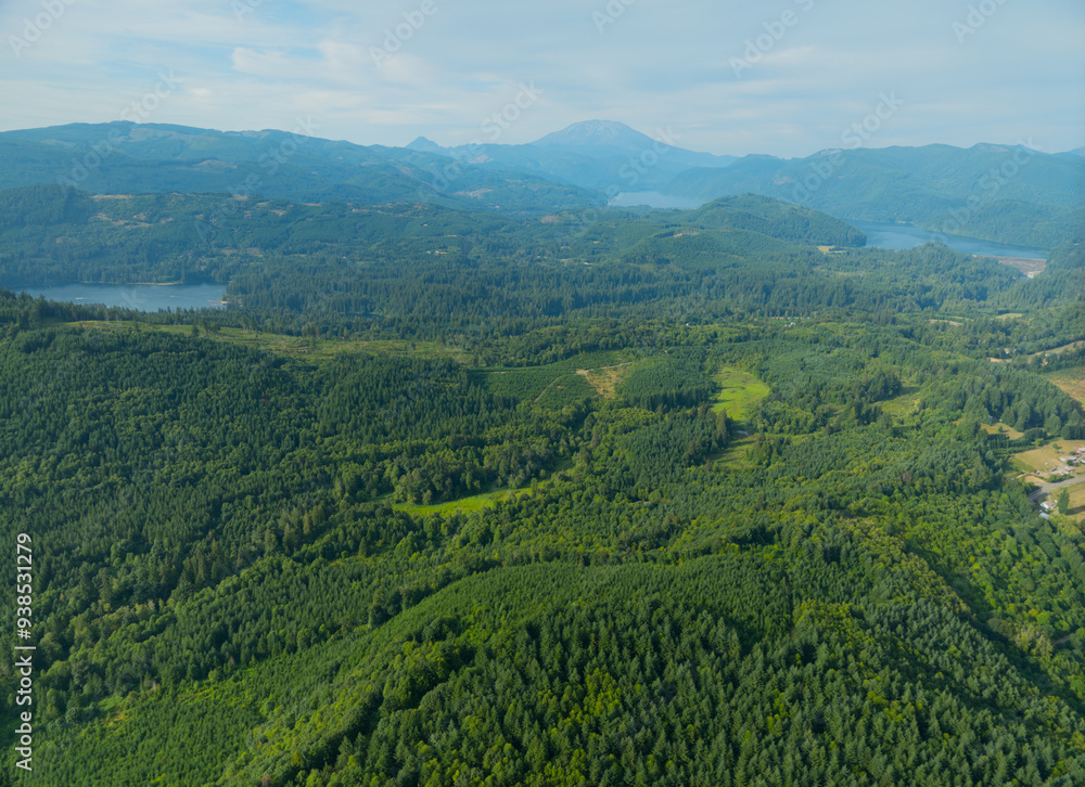 A lush green forest with a mountain in the background A lush green forest with a mountain in the background