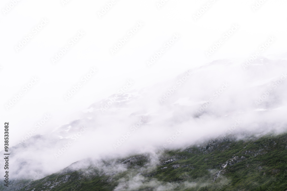 Obraz premium Mountain landscape in Glacier Bay National Park in southeastern Alaska during summertime