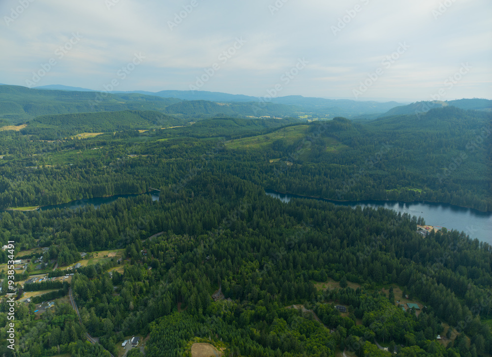 Fototapeta premium A lush green forest with a lake in the background