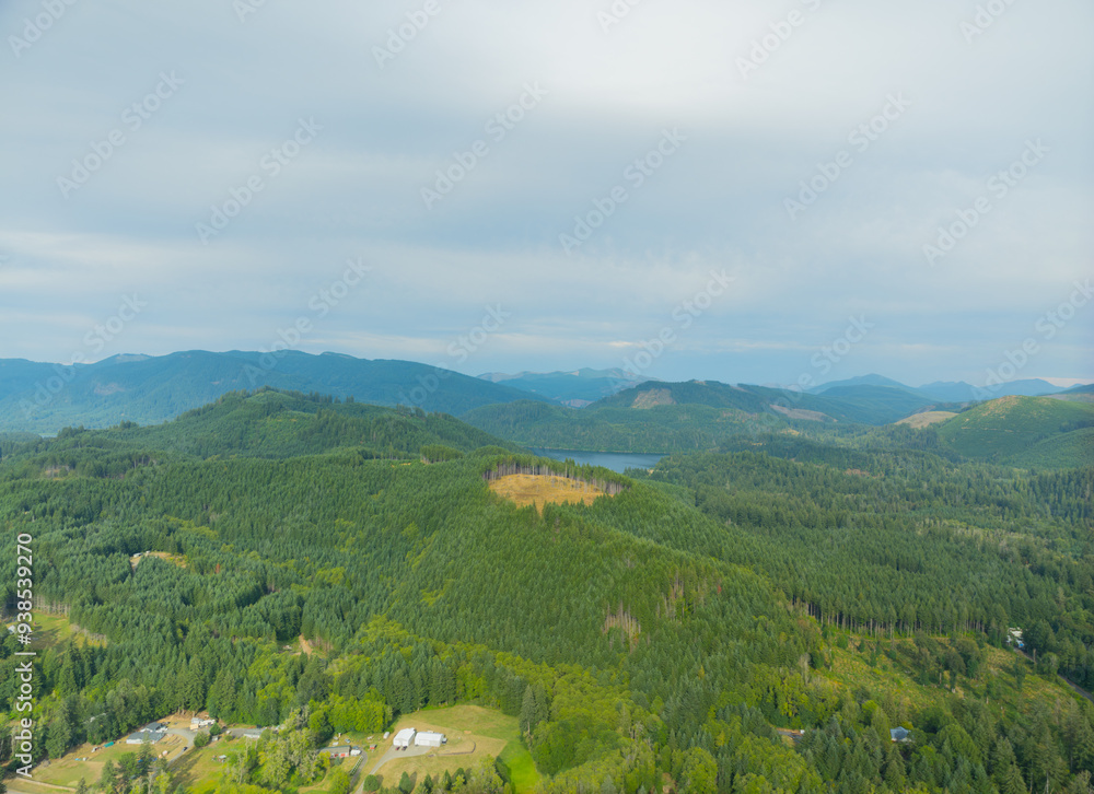A lush green forest with a small town in the distance A lush green forest with a small town in the distance