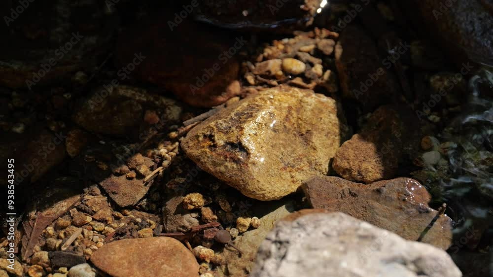 Small riverbanks in the forest, unspoiled water Small riverbanks in the forest, unspoiled water