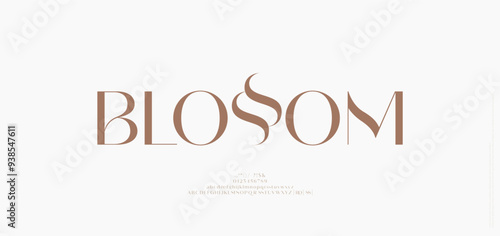 Beauty Luxury font alphabet logo. Typography beautiful fashion elegant classic letters serif italic fonts decorative wedding vintage blossom logos. vector illustration