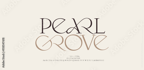 Elegant font alphabet logo. Typography Beauty fashion luxury classic letters serif fonts decorative wedding vintage retro logos. vector illustration