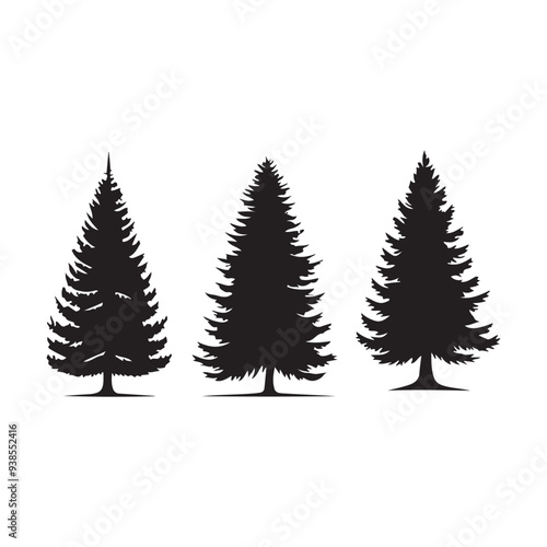 pine  tree silhouette isolated on white background .vector illustration. Beautiful hand drawn panorama with treetops forest. Black pine woods