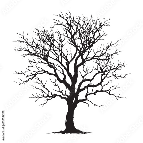 Digital art of group of black trees without leaves isolated on transparent background,  Black silhouette of a tree without leaves on white background.