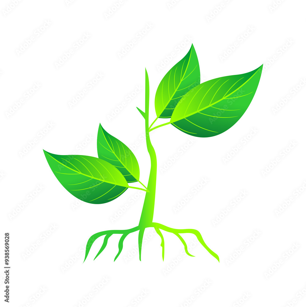Fototapeta premium plant icon