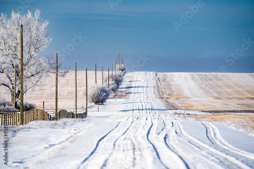 Country road with tire tracks through fresh snow overlooking the Canadian prairies in Rocky View County Alberta Canada photo