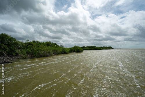 Early weather effects of Tropical Storm Debby in Everglades National Park, Florida with strong winds and storm cloud formation over West Lake. photo