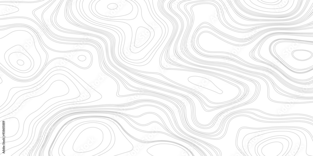 Abstract Contour Topographic Line Pattern in Gray and White, Abstract lines background. Contour maps. Topo contour map on white background, Abstract Contour Topographic Line Pattern in Gray and White, Abstract lines background. Contour maps. Topo contour map on white background,