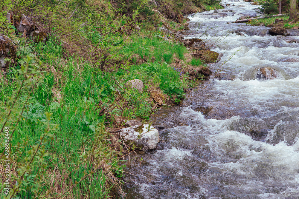 Fast mountain river with pure clear water running among large stones Fast mountain river with pure clear water running among large stones