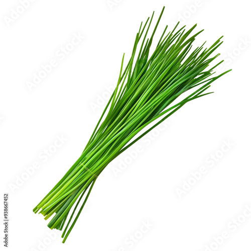 Fresh bunch of chives on a black background, perfect for culinary and gardening themes