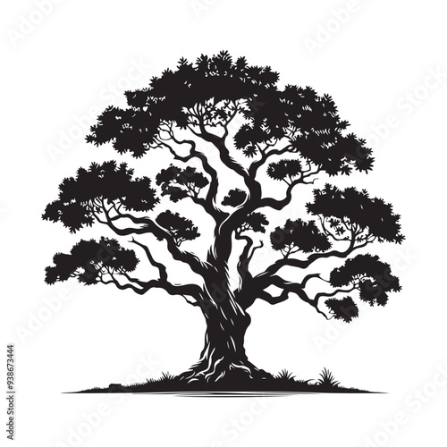 Sandalwood tree Black silhouette on a white background. Vector. Set.
