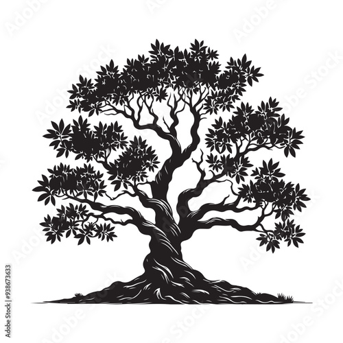 Sandalwood tree Black silhouette on a white background. Vector. Set.