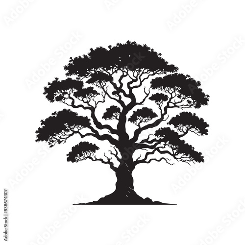 Sandalwood tree Black silhouette on a white background. Vector. Set.