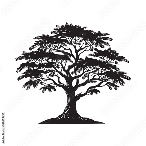 Sandalwood tree Black silhouette on a white background. Vector. Set.