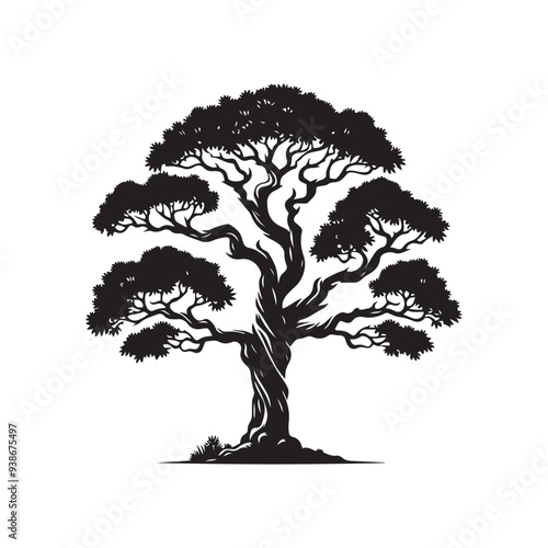 Sandalwood tree Black silhouette on a white background. Vector. Set.