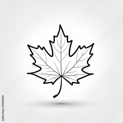 maple leaf illustration