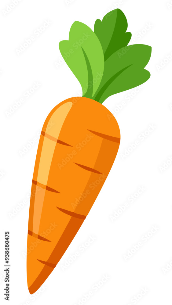 carrot with leaf, illustration of a carrot isolated on white background carrot with leaf, illustration of a carrot isolated on white background