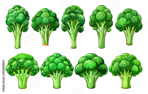 set of green broccoli vector