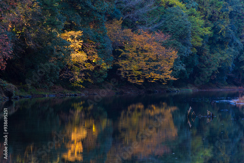 日本の風景・秋 埼玉県嵐山町 紅葉の嵐山渓谷