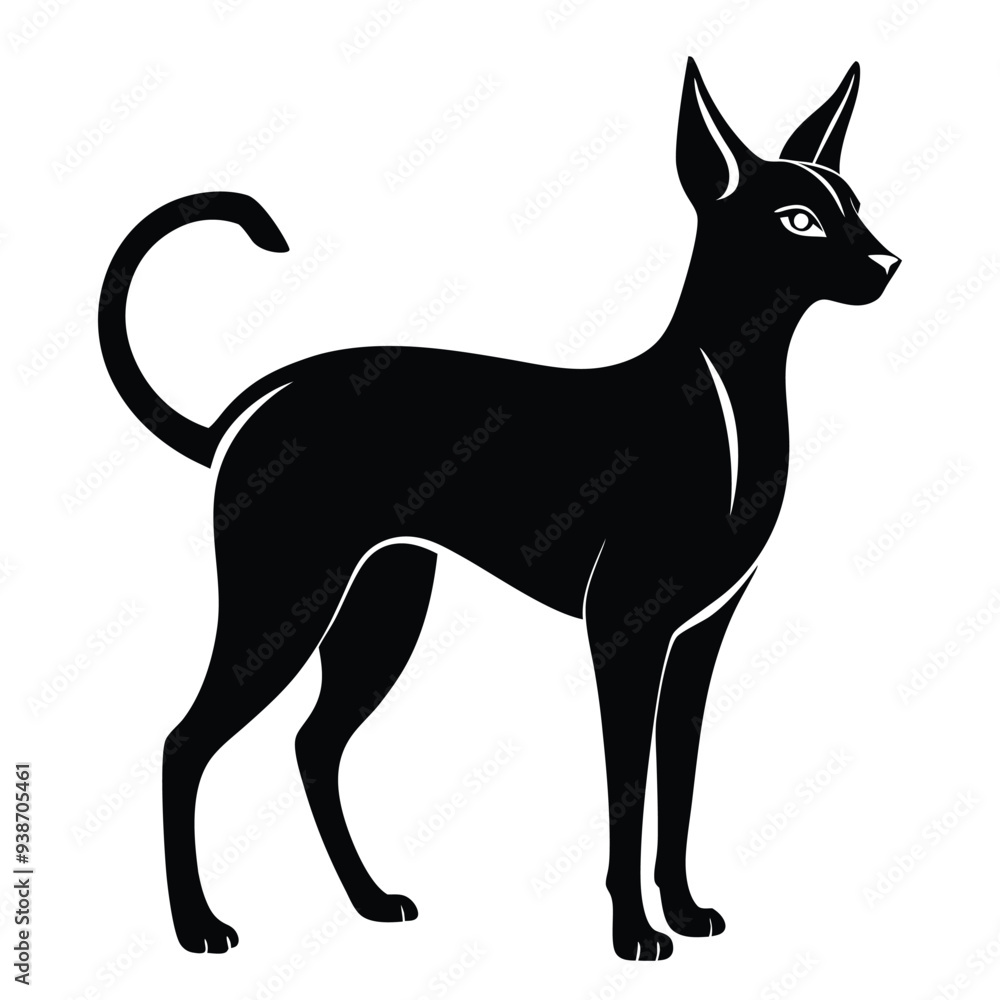 Obraz premium Abyssinian Cat Silhouette Vector Design on a White Background