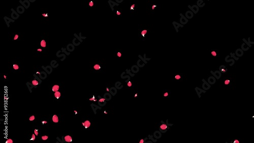 Rose Flutter Side 02 Loop HD