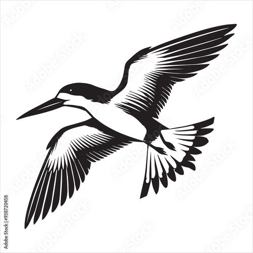 Black skimmer Silhouette, Rynchops Niger Bird Clipart, Black skimmer Flying  Illustration in black and white