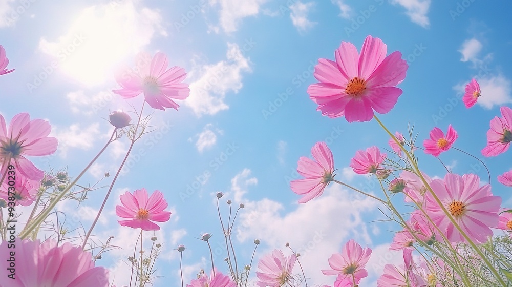 Beautiful cosmos flower field and blue sky. Low angle view nature cosmos flower wallpaper background. Generative ai Beautiful cosmos flower field and blue sky. Low angle view nature cosmos flower wallpaper background. Generative ai