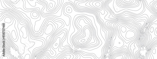 Abstract pattern with lines seamless pattern and topography.  sea map and mounted map area space geometrics line technology topo landscape grid map discovery area. Modern design white background.